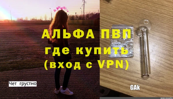 PSILOCYBIN Новокубанск