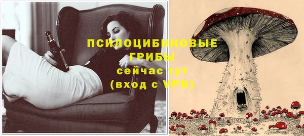 мдма Новозыбков