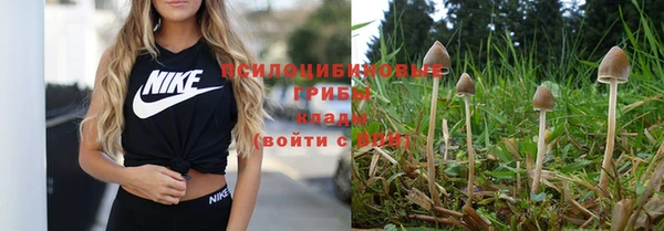 spice Армянск