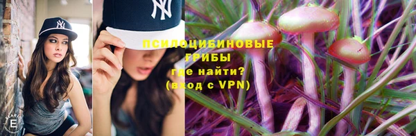 apvp Аркадак