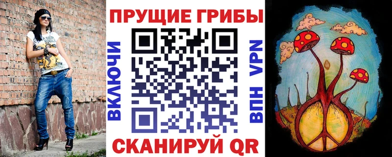 Галлюциногенные грибы Magic Shrooms  сколько стоит  Рузаевка 